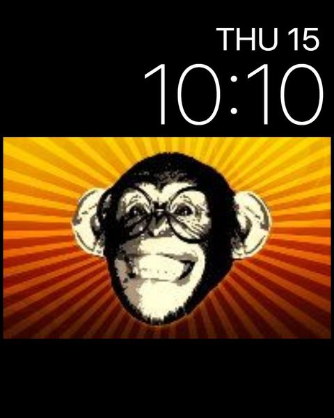 "Que the Monkey."