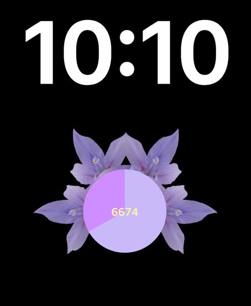 Iris Step Counter