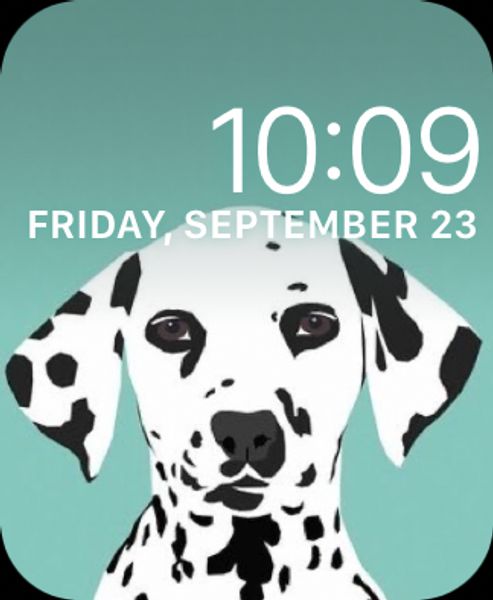 Dalmatian Teal