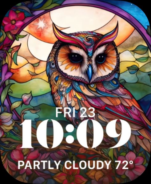 🦉Wondrous Owls🦉