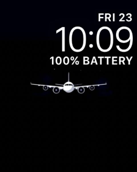Airline