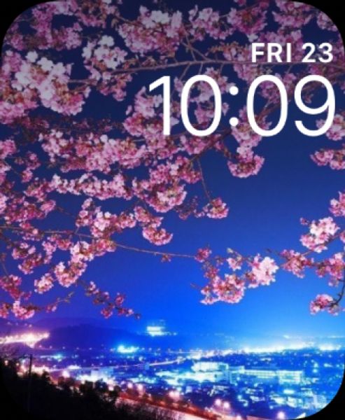 Cherry blossom