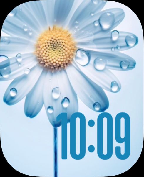 Blue daisy
