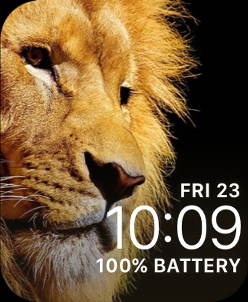 Lion: Brave