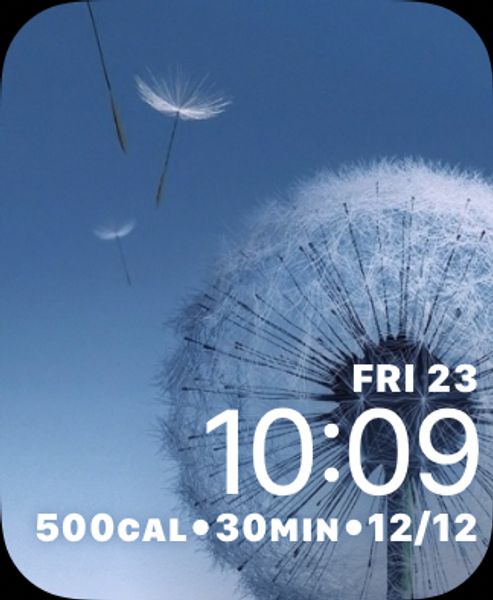Dandelion