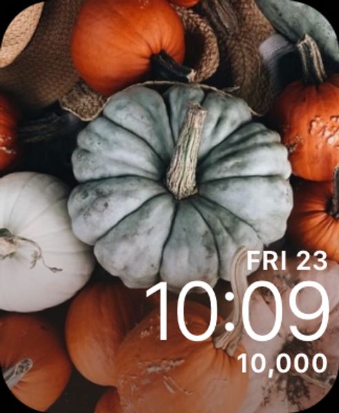 Pumpkin Patch