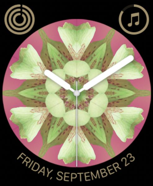 Kaleidoscope flower