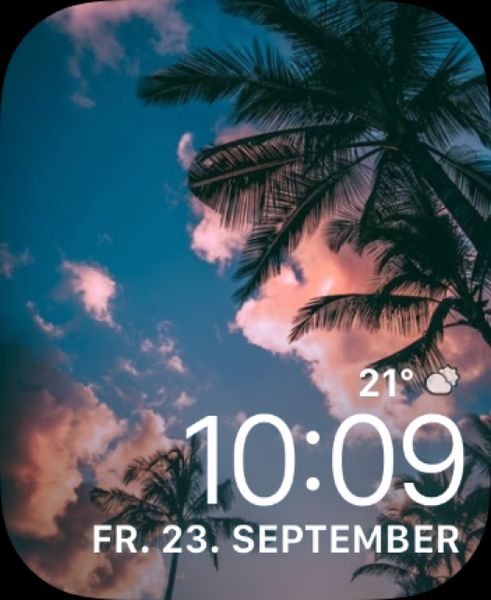 Palms