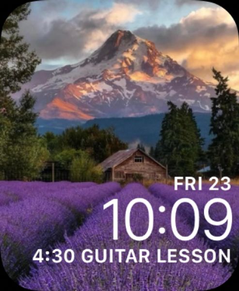 Lavender Fields