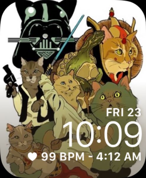 Star wars cats