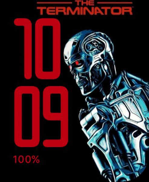 The Terminator T-800