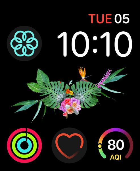 Jungle iOS