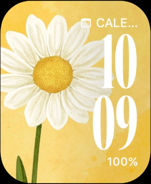 Sunny Daisy