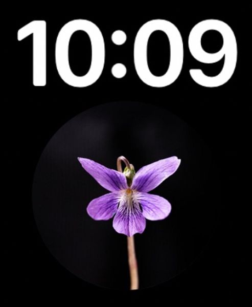 Time at top Flower at bottom