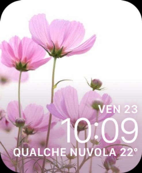 Pink flower