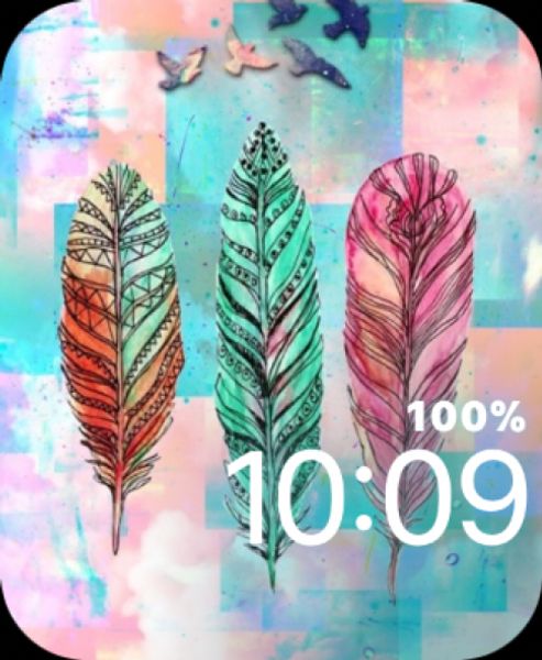 Colorful Feathers