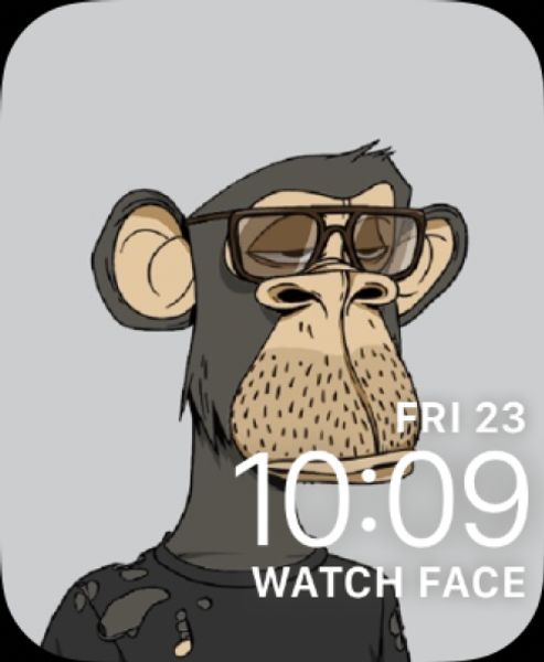 The ape yacht club