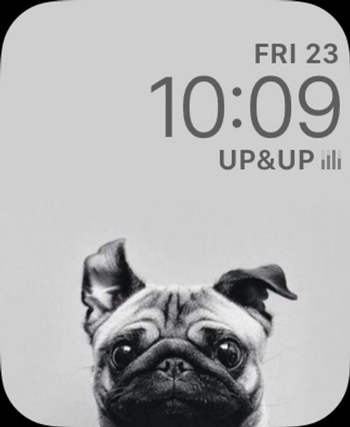 Pug: Fix you