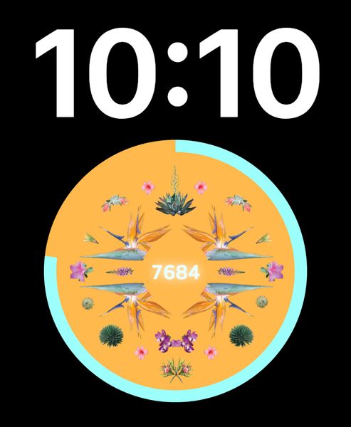 Marigold Step Counter