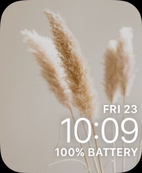 Wheat