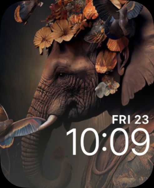 Elephant