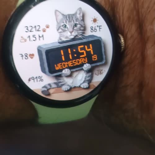 B# Art | Paper Tabby