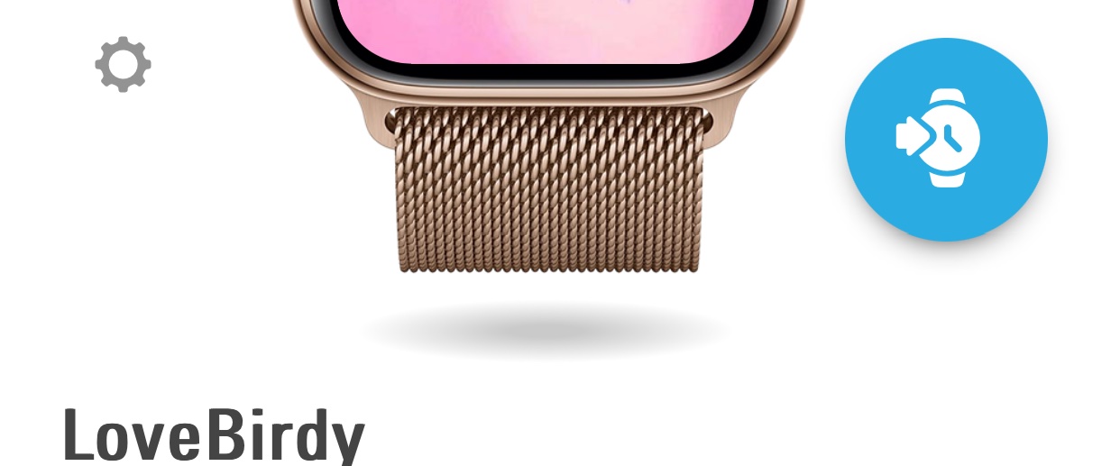 Birds watch face collection